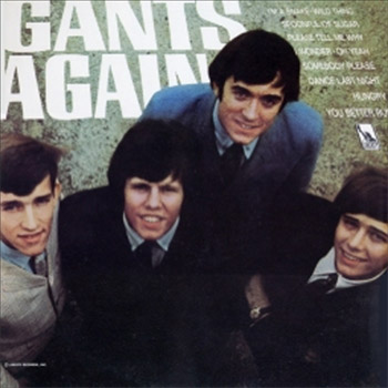 Image result for the gants band albums