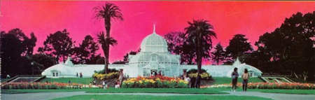 Glass Palace