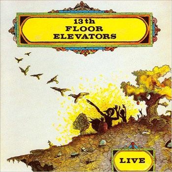 The 13th Floor Elevators Live 1968 Rising Storm Review